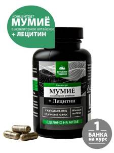 Концентрат Мумие Премиум с лецитином+витамин C для желудка, суставов, хрящей Алтайские традиции №60капс